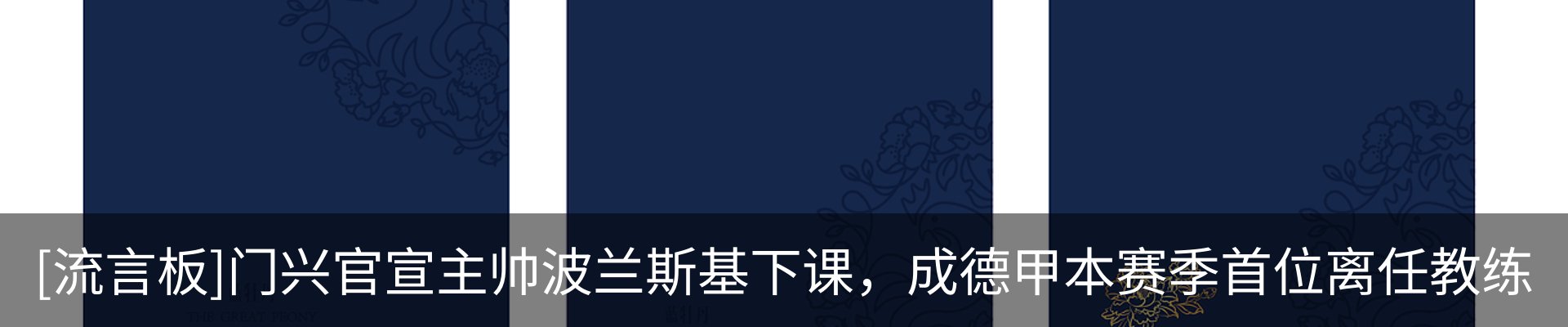 最新动态